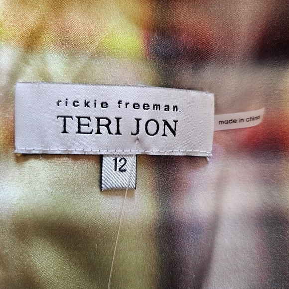 Designer Rickie Freeman Teri Jon silk rainbow rushed fitted dress size 12 - Picture 8 of 11